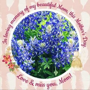 Meet your Posher, Delana